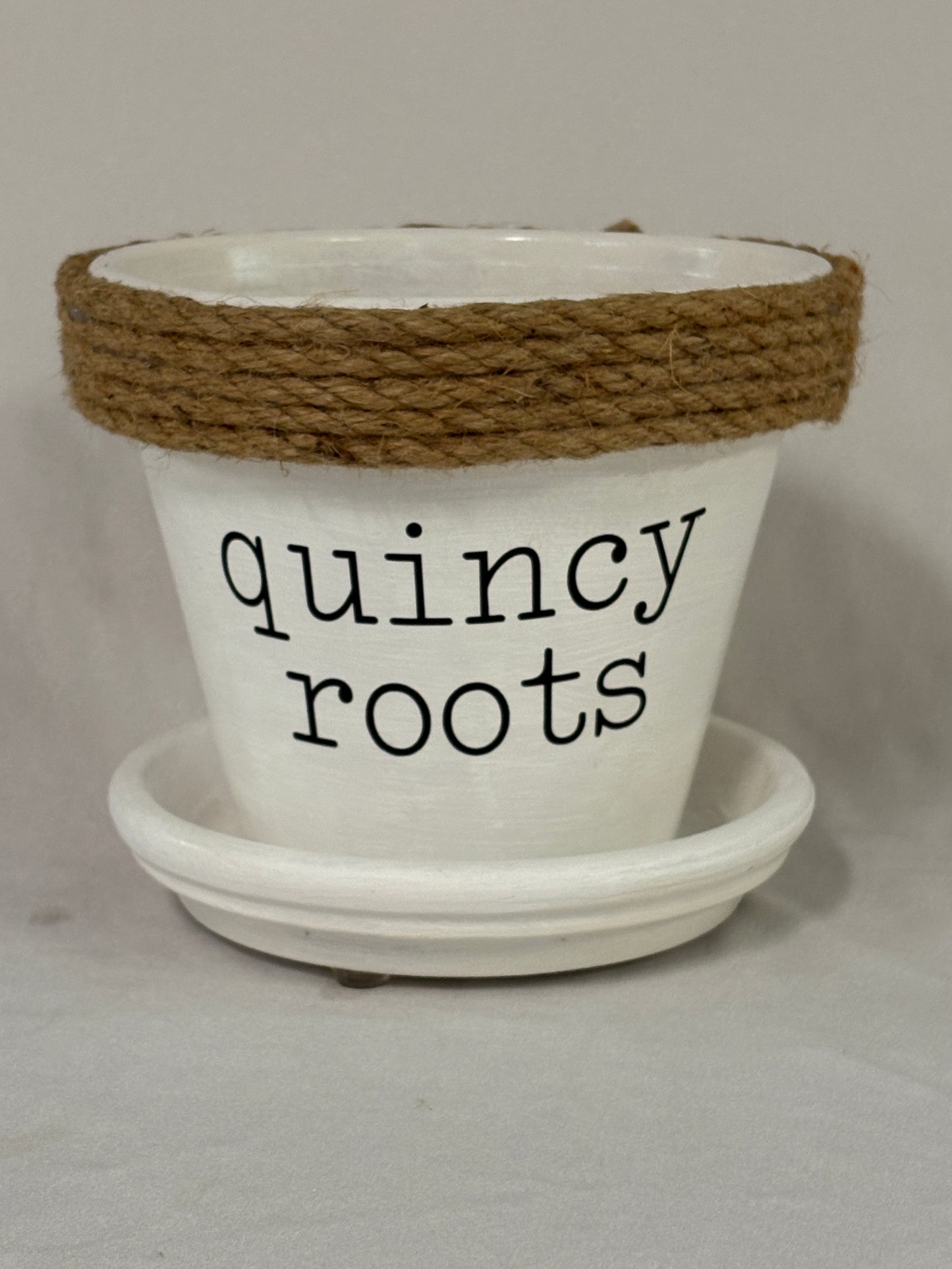 Calathea in Quincy Pot (multiple style/color options)