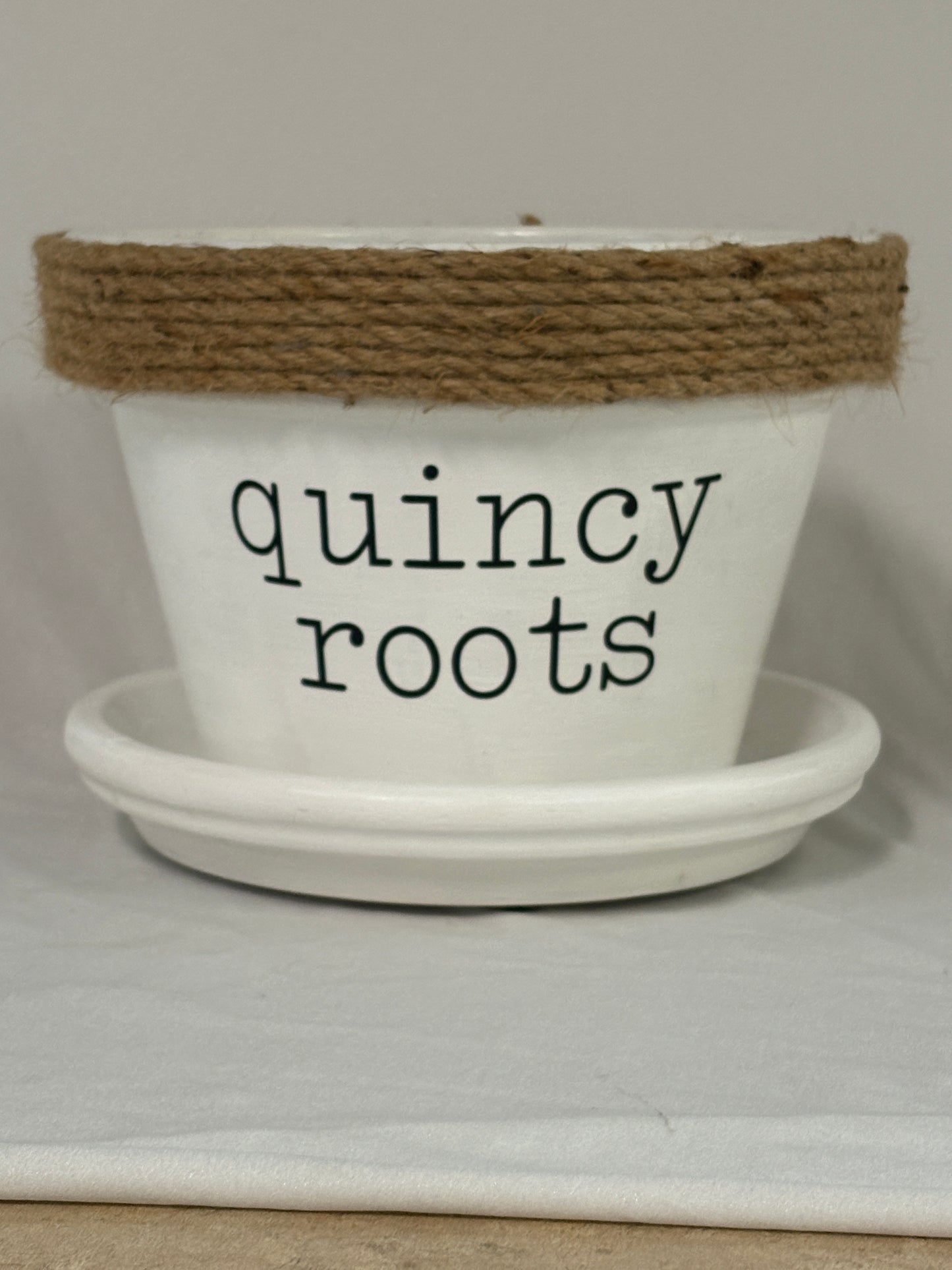 Plant in Quincy Pot