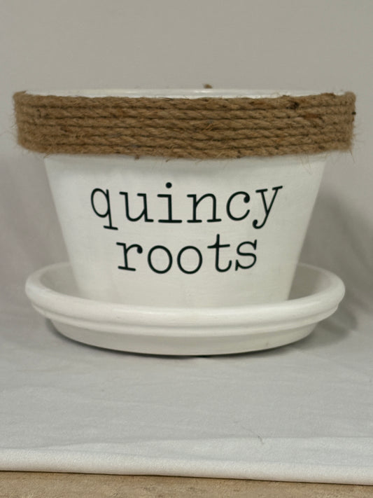 Plant in Quincy Pot