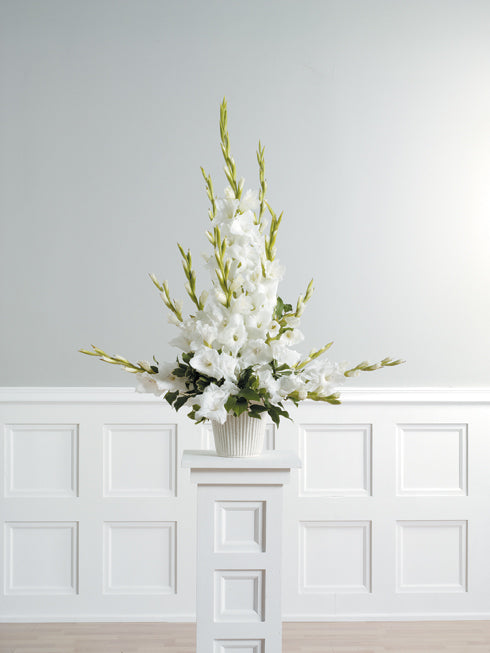 Pedestal Arrangements