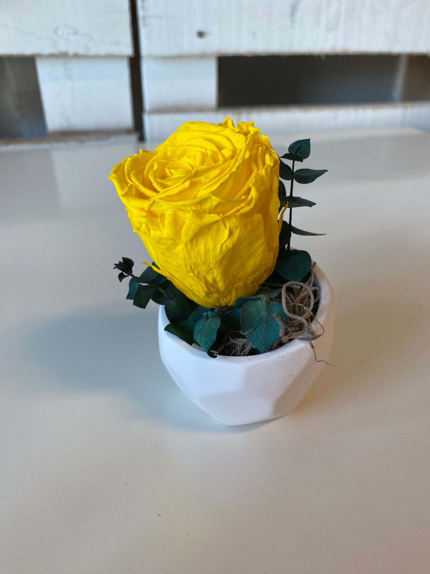 Preserved Rose Arrangement, Single Rose