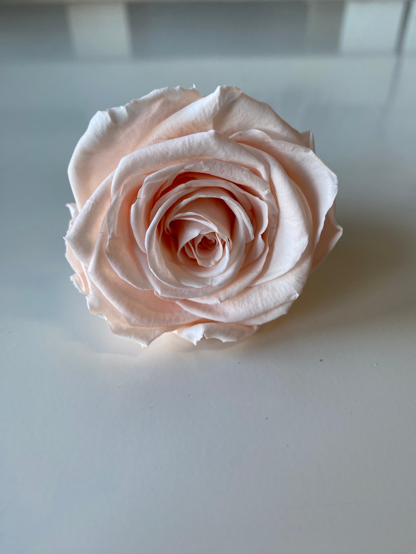 Preserved Rose Arrangement, Three Roses