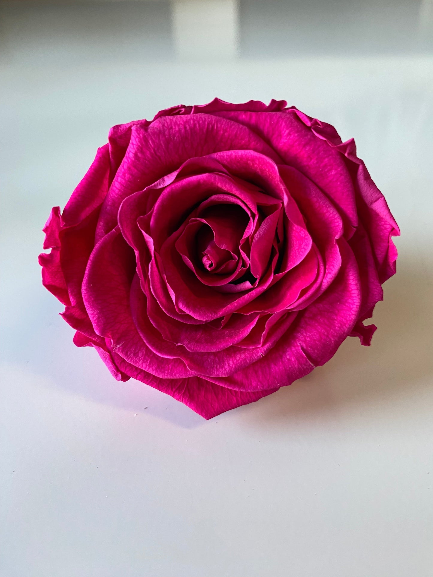 Preserved Rose Arrangement, Single Rose