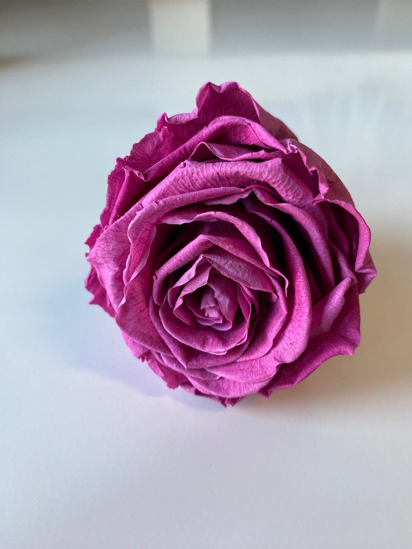 Preserved Rose Arrangement, Single Rose