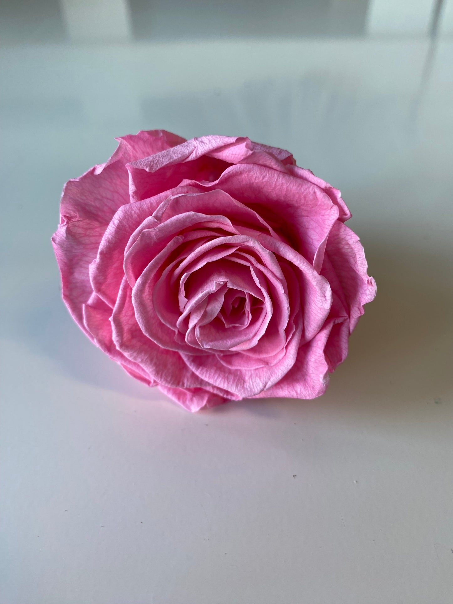 Preserved Rose Arrangement, Single Rose