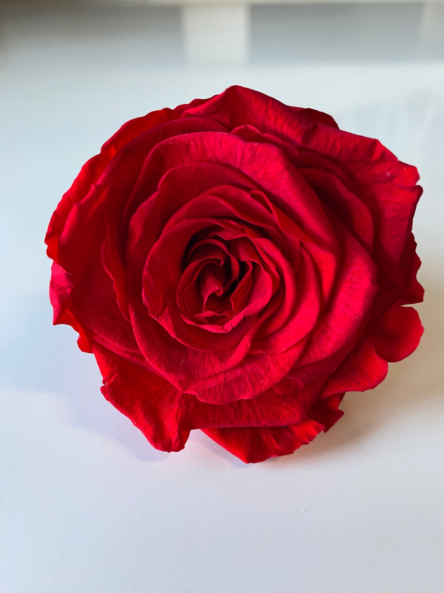 Preserved Rose Arrangement, Three Roses