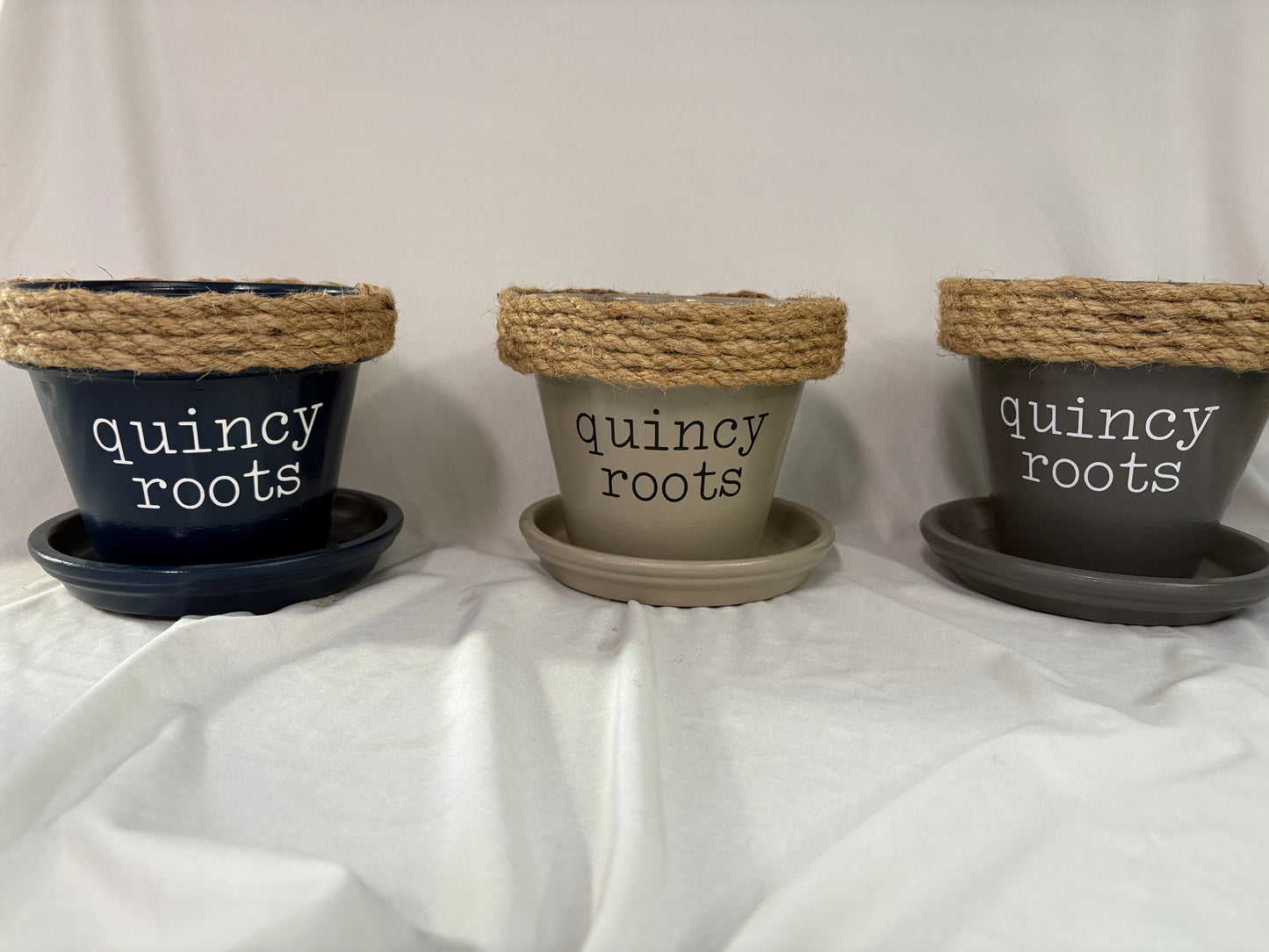 Calathea in Quincy Pot (multiple styles)