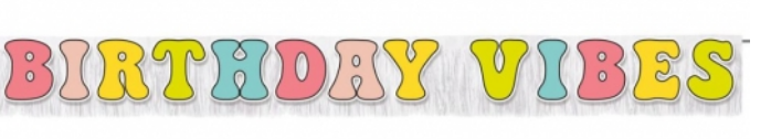 Birthday Vibes Banner