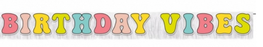 Birthday Vibes Banner