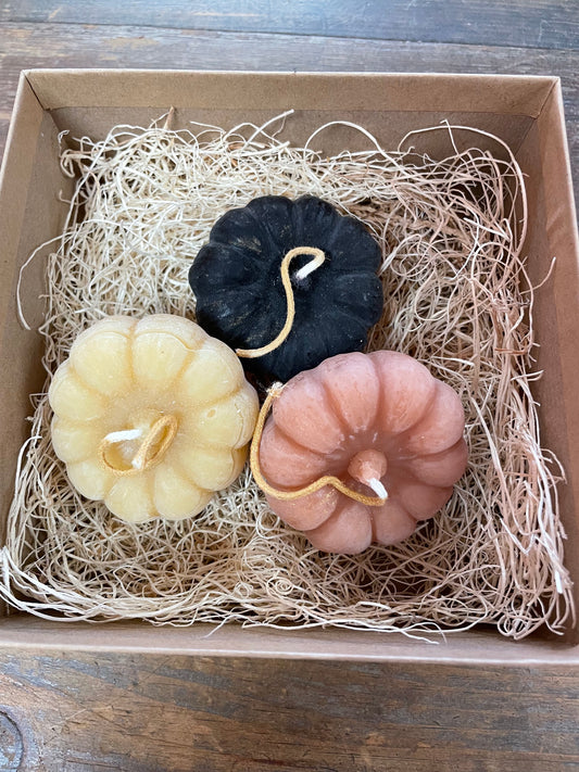 Pumpkin Shape Beeswax Candle Set