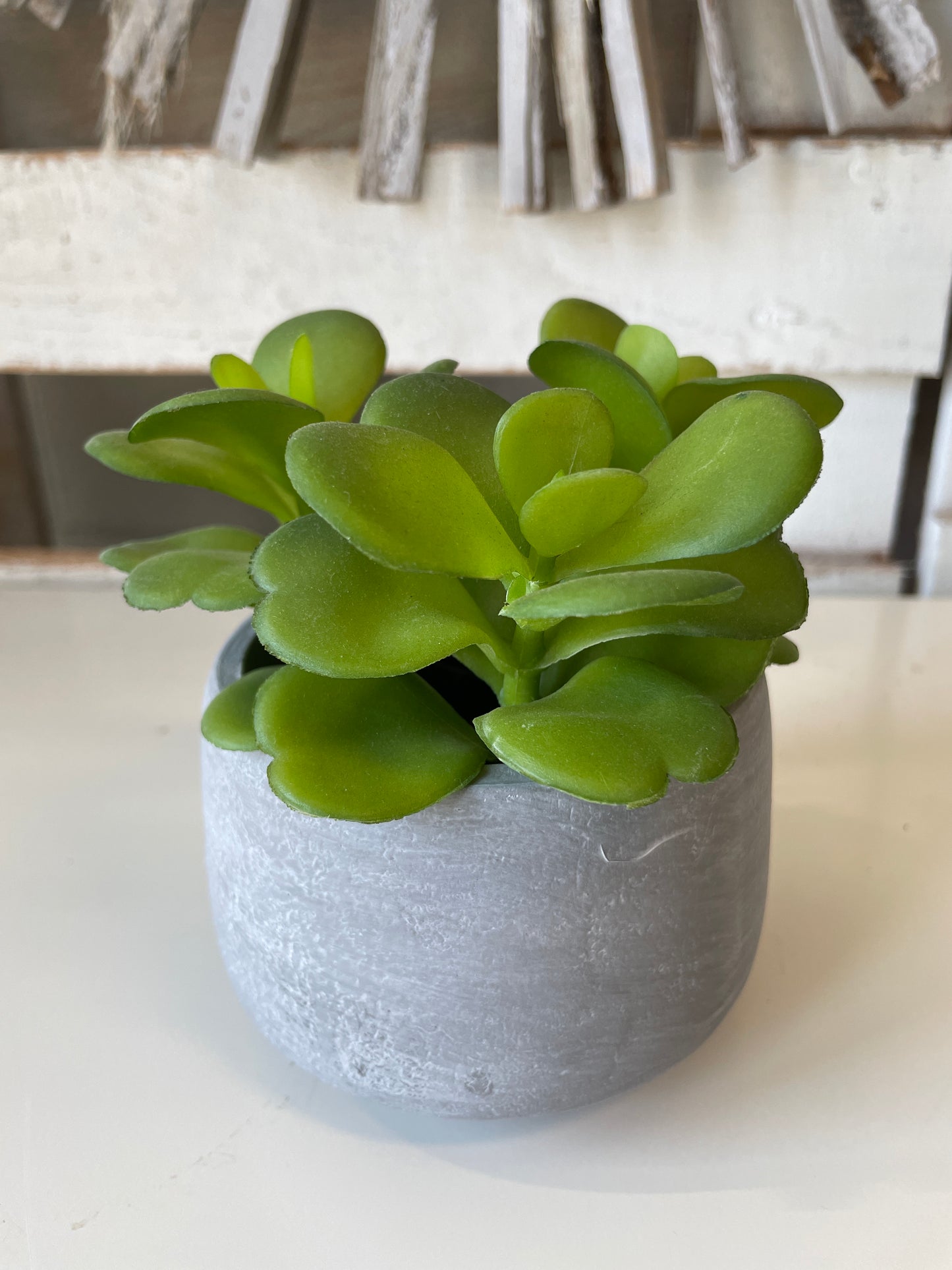 Artificial Potted Succulents