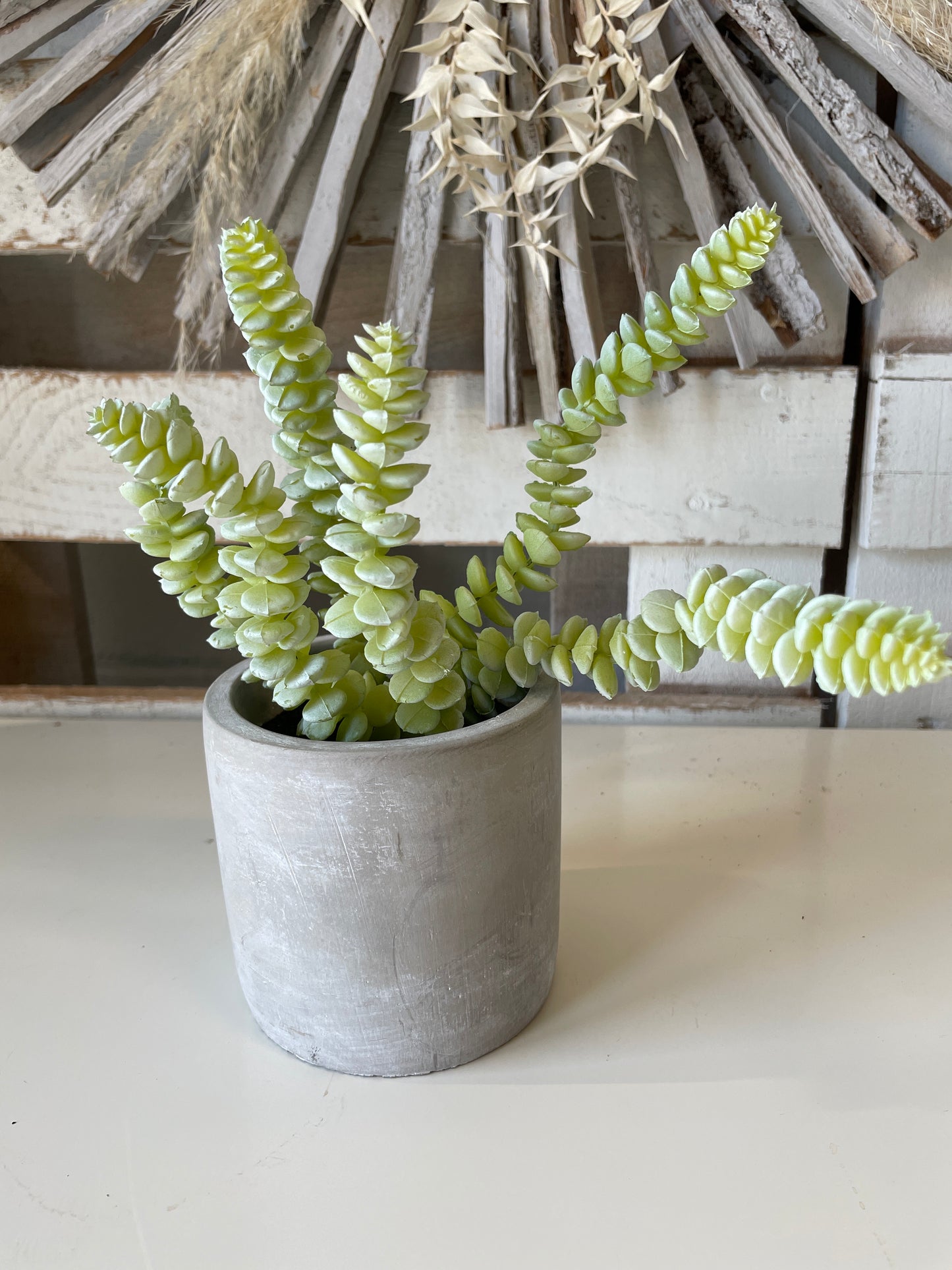Artificial Potted Succulents